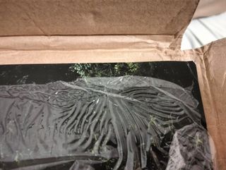 Lavazza Calendario 2017 We Are What We Live