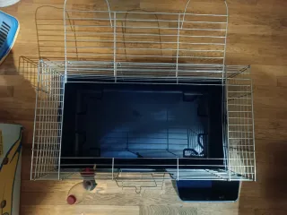 Gabbia coniglio con abbeveratoio e porta fieno