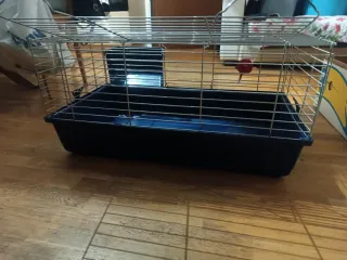 Gabbia coniglio con abbeveratoio e porta fieno