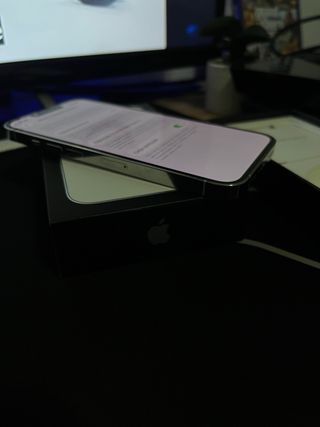 iPhone 13 Pro Argento