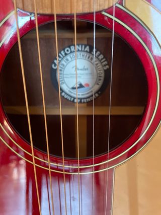 Guitarra Fender Newporter Player