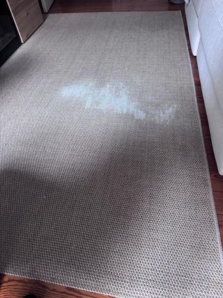 Alfombra Ikea Vodskov 170x240 cm (ver mancha)