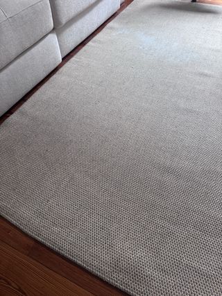 Alfombra Ikea Vodskov 170x240 cm (ver mancha)