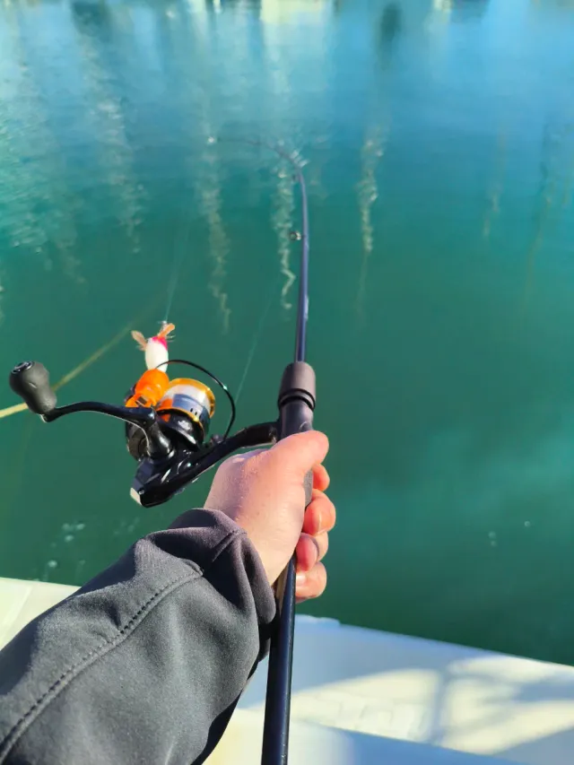 Caña y carrete de pesca montado NUEVO