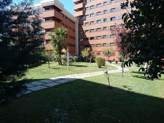 Piso en alquiler en Campus de la Salud en Granada