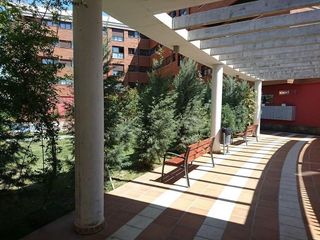 Piso en alquiler en Campus de la Salud en Granada