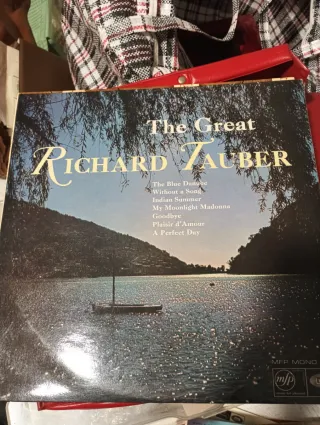 Vinilo Lo Mejor de Roy Etzel Jazz Belter