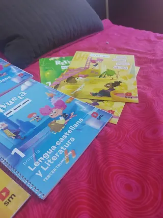 Libros de 1° de primaria