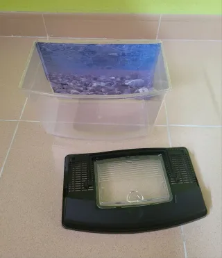 Pecera 2.5L con asa y tapa