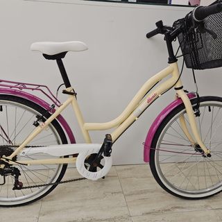 Bicicleta Paseo DenBike ethnic 24 TS