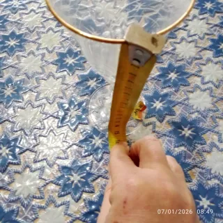 Servizio nr.24 bicchieri cristallo con bordo oro