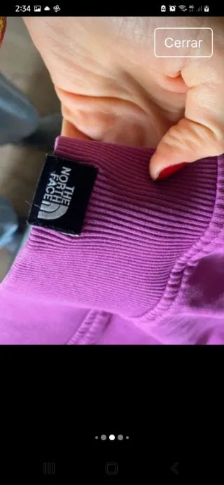 Sudadera The North Face Rosa con capucha