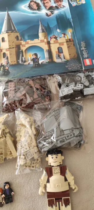 LEGO Harry Potter 75953 + Grawp