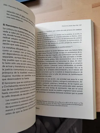 Feminismos de Abya Yala