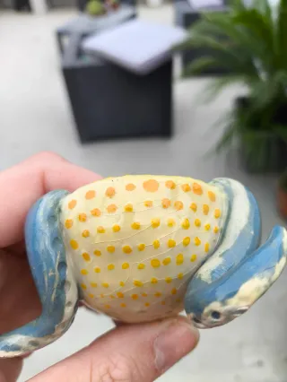 Maceta patas de pulpo