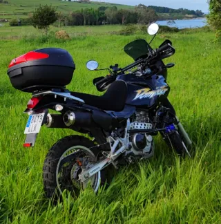 Honda Dominator NX650