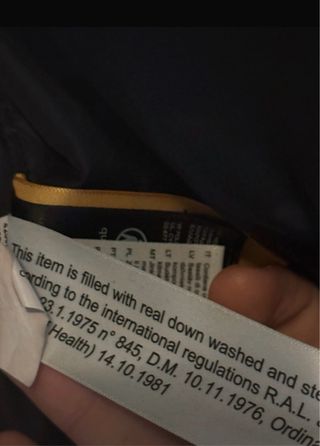 The North Face 1996 Nuptse 700 degradado