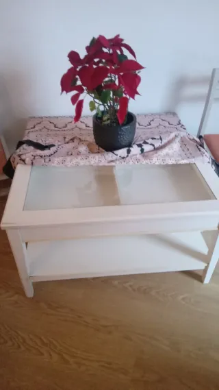 Mesa de centro madera y cristal