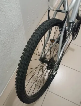 Bicicleta plateada 60 cm