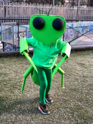 Disfraz de Mantis Religiosa Hecho a Mano