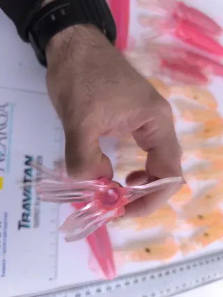 Señuelos para pesca en mar