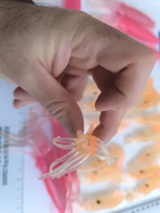 Señuelos para pesca en mar