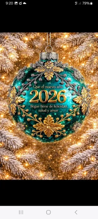 Lote 8 Petos Peleles Bebé 12-18 Meses