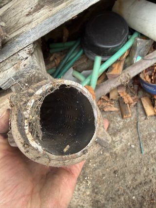 Catalizadores bmw e36