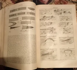 Enciclopedia Espasa Calpe