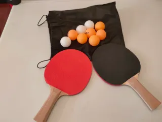 Juego de Ping Pong con Red y Pelotas