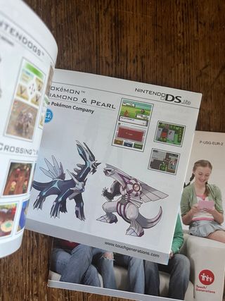 Manual Nintendo DS Lite