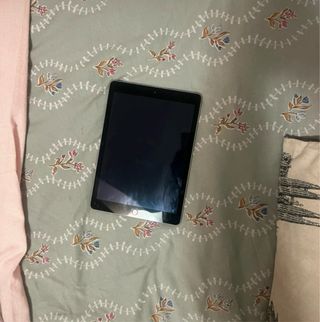 iPad 2017 5ª Gen Plata