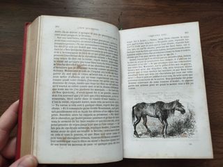 L'INGENIEUX CHEVALIER DON QUICHOTTE DE LA MANCHE