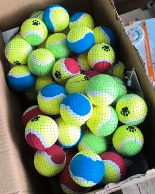 Set 25 palline giochi per cani