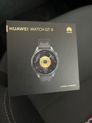 Huawei GT 6 Smartwatch Negro/Plata
