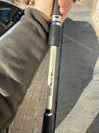 Caña de pesca Eging Nomura