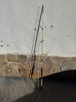 Caña de pesca Eging Nomura