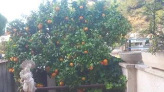 Alquiler habitación en Cubelles