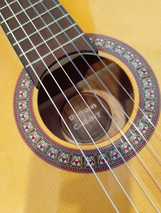 Guitarra Nueva Thomann para Reparar