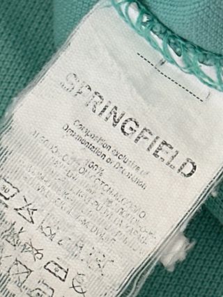Polo Springfield verde aguamarina