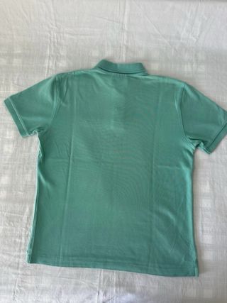 Polo Springfield verde aguamarina