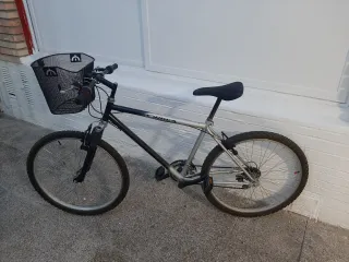 Bicicleta Orbea Paseo con Cesta