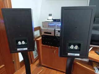 Altavoces Tannoy Mercury V1i Negros
