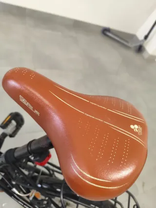 Bicicleta Mona Bikes