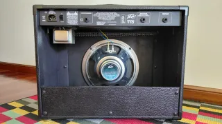 Amplificador Guitarra Peavey Envoy 110