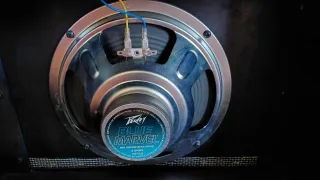 Amplificador Guitarra Peavey Envoy 110