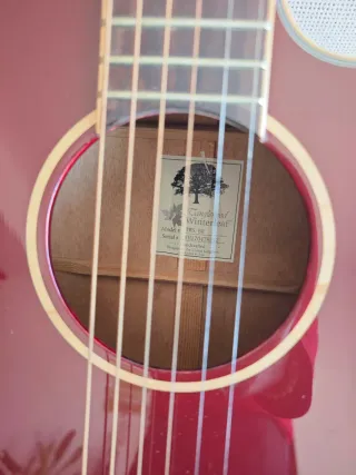 Guitarra Taglewood TW5 TR