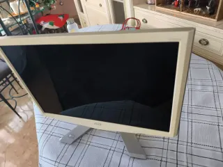 Monitor Acer 19 Beige/Plata