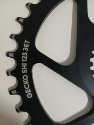 Plato Leonardi GECKO SHI 36T