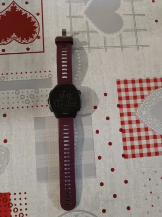 Reloj Garmin Forerunner 245